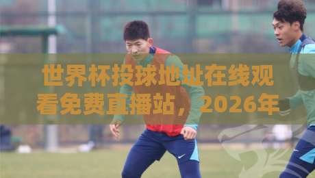 世界杯投球地址在线观看免费直播站，2026年球迷必收藏的五大观赛平台