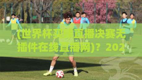 (世界杯买球直播决赛无插件在线直播网)?2026年观赛指南来了! (世界杯买球直播决赛无插件在线直播网)?2026年观赛指南来了!