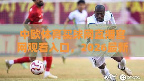 中欧体育买球网直播官网观看入口,2026最新入口指南(中欧体育买球网) 中欧体育买球网直播官网观看入口,2026最新入口指南(中欧体育买球网)