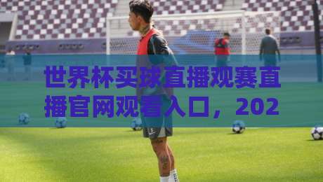 世界杯买球直播观赛直播官网观看入口,2026年最新指南! 世界杯买球直播观赛直播官网观看入口,2026年最新指南!