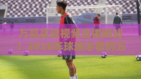 万赢买球视频直播网站!2026年球迷必看的五大亮点(深度测评) 万赢买球视频直播网站!2026年球迷必看的五大亮点(深度测评)