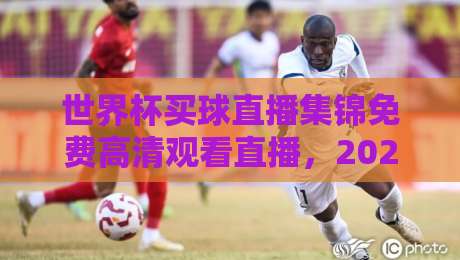 世界杯买球直播集锦免费高清观看直播,2026年球迷必备指南!