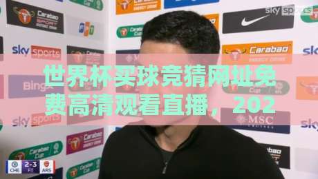 世界杯买球竞猜网址免费高清观看直播,2026年球迷的终极观赛与竞猜宝典