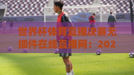 世界杯体育直播决赛无插件在线直播网:2026年看球新姿势,你get了吗?