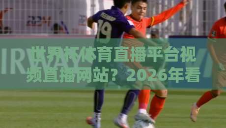 世界杯体育直播平台视频直播网站?2026年看球新选择!(世界杯体育直播平台视频直播网站)体验升级
