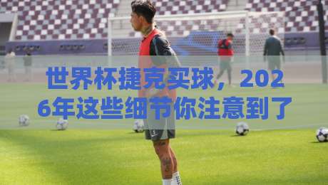 世界杯捷克买球，2026年这些细节你注意到了吗？