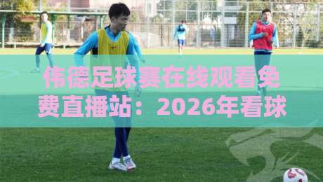 伟德足球赛在线观看免费直播站：2026年看球新姿势，老球迷都用的秘密武器