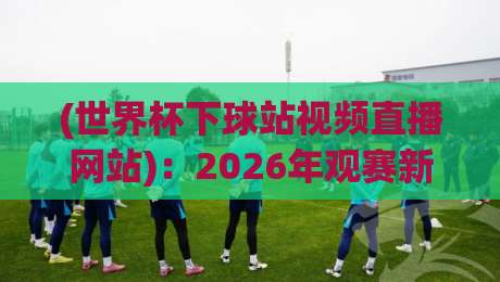 (世界杯下球站视频直播网站)：2026年观赛新选择，这几个平台让你告别卡顿