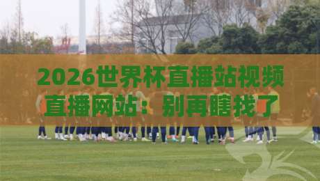 2026世界杯直播站视频直播网站：别再瞎找了，这3个平台让你看球零卡顿！