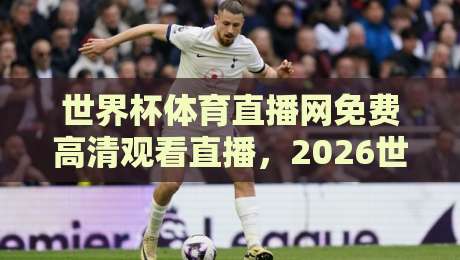 世界杯体育直播网免费高清观看直播，2026世界杯这样看才过瘾！