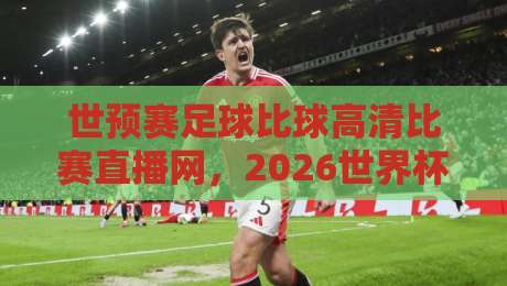 世预赛足球比球高清比赛直播网，2026世界杯预选赛球迷必备观赛指南