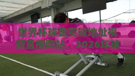 世界杯球盘买球地址视频直播网站,2026年球迷首选这5个平台(附避坑指南) 世界杯球盘买球地址视频直播网站,2026年球迷首选这5个平台(附避坑指南)