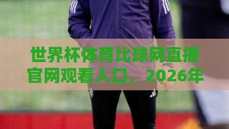 世界杯体育比球网直播官网观看入口，2026年观赛新体验！