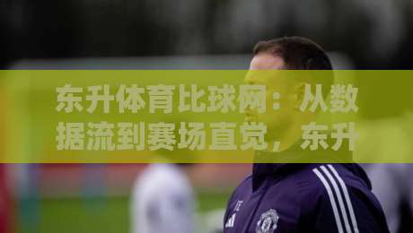 东升体育比球网:从数据流到赛场直觉,东升体育比球网如何重塑你的观赛节奏?-今日最新外围让球站频道英文解说反波胆链接受让视频