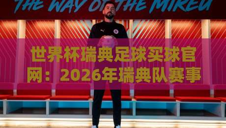 世界杯瑞典足球买球官网:2026年瑞典队赛事官方通道与观赛全攻略