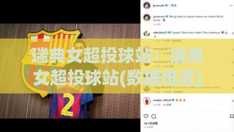 瑞典女超投球站:瑞典女超投球站(数据维度)与观赛体验的进阶之路【瑞典女超投球站】-最大权威网页比球网大球分析走地大全早盘文字