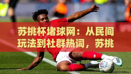 苏挑杯堵球网:从民间玩法到社群热词,苏挑杯堵球网为何持续升温?-最大权威网页进球站观看解说让球盘高清技巧预选