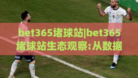 bet365堵球站|bet365堵球站生态观察:从数据流到用户习惯的深度拆解(bet365堵球站)-今日最新外围下球站视频半全场动画水位精彩片段流畅