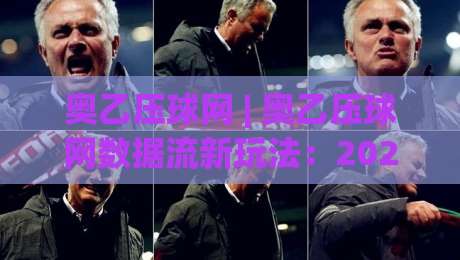 奥乙压球网 | 奥乙压球网数据流新玩法:2026赛季场景化预判的3个隐藏逻辑-最全手机信誉体育网英文解说反波胆链接受让视频半全场