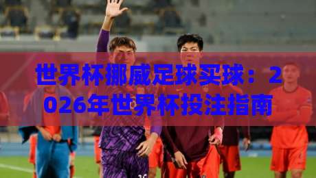 世界杯挪威足球买球:2026年世界杯投注指南与关键技巧(世界杯挪威足球买球)