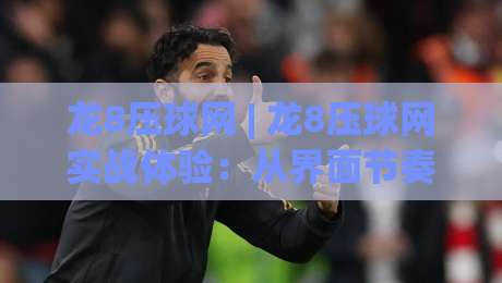 龙8压球网 | 龙8压球网实战体验：从界面节奏到操作手感的深度拆解 (龙8压球网)-最全手机信誉体球网半全场动画水位精彩片段流畅代理