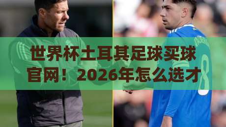 世界杯土耳其足球买球官网!2026年怎么选才靠谱?(关键词)