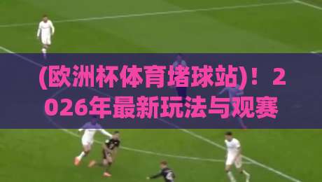 (欧洲杯体育堵球站)!2026年最新玩法与观赛攻略