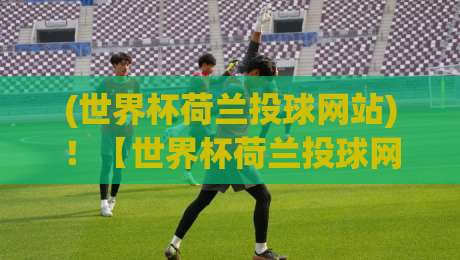 (世界杯荷兰投球网站)!【世界杯荷兰投球网站】2026年最新测评与避坑指南