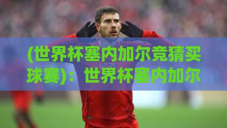 (世界杯塞内加尔竞猜买球赛):世界杯塞内加尔竞猜买球赛,2026年看球别踩坑!