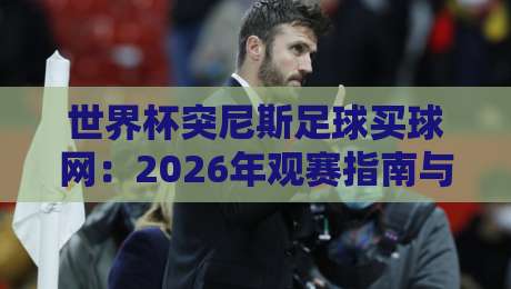 世界杯突尼斯足球买球网：2026年观赛指南与真伪辨别