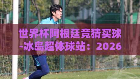 世界杯阿根廷竞猜买球-冰岛超体球站：2026年球迷必看的新玩法