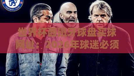 世界杯西班牙球盘买球网址：2026年球迷必须知道的3个安全选择