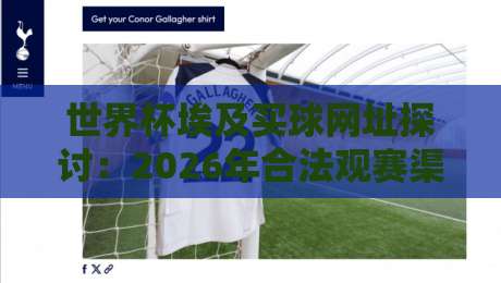 世界杯埃及买球网址探讨：2026年合法观赛渠道与风险提醒
