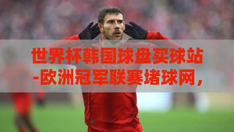 世界杯韩国球盘买球站-欧洲冠军联赛堵球网，2026年球迷必看的（世界杯韩国球盘买球站）安全指南与避坑策略