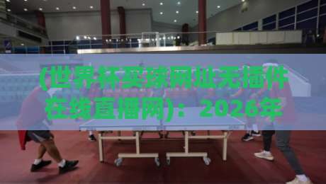 (世界杯买球网址无插件在线直播网)：2026年世界杯，这些观看渠道靠谱吗？