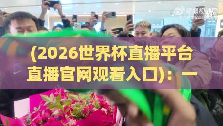 (2026世界杯直播平台直播官网观看入口)：一个老球迷的实用指南