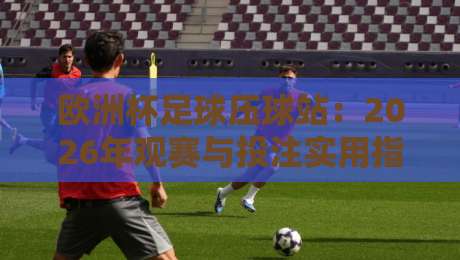 欧洲杯足球压球站:2026年观赛与投注实用指南 欧洲杯足球压球站:2026年观赛与投注实用指南