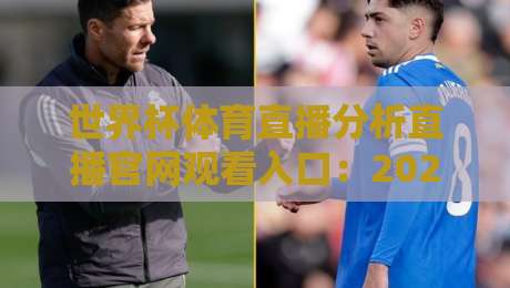 世界杯体育直播分析直播官网观看入口：2026年观赛必备，官方渠道与深度分析一网打尽