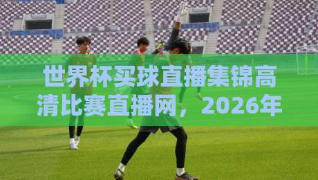 世界杯买球直播集锦高清比赛直播网,2026年球迷必藏的观赛神器 世界杯买球直播集锦高清比赛直播网,2026年球迷必藏的观赛神器