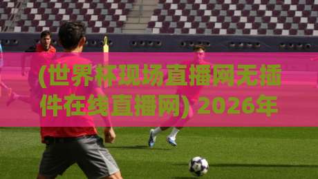 (世界杯现场直播网无插件在线直播网) 2026年观赛指南：无插件高清直击巅峰对决